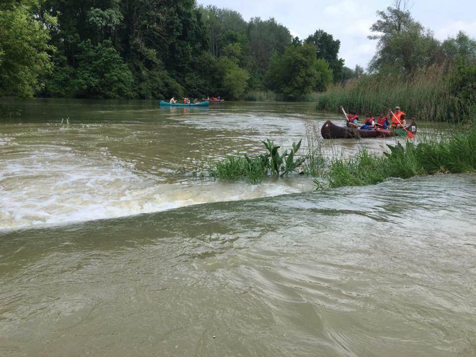 Donaupark Camping Tulln Tulln An Der Donau Bagian luar foto